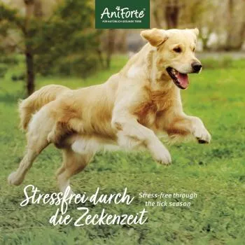 ZeckenSchild - natürliche Zeckenabwehr für Hunde - 60 Tabletten